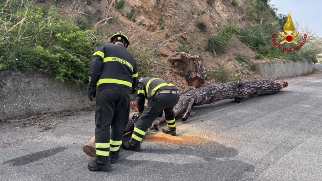Interventi Vigili Fuoco Messina