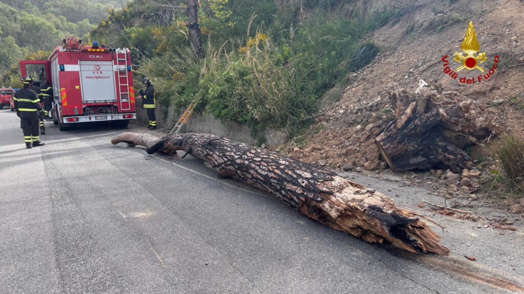 Interventi Vigili Fuoco Messina