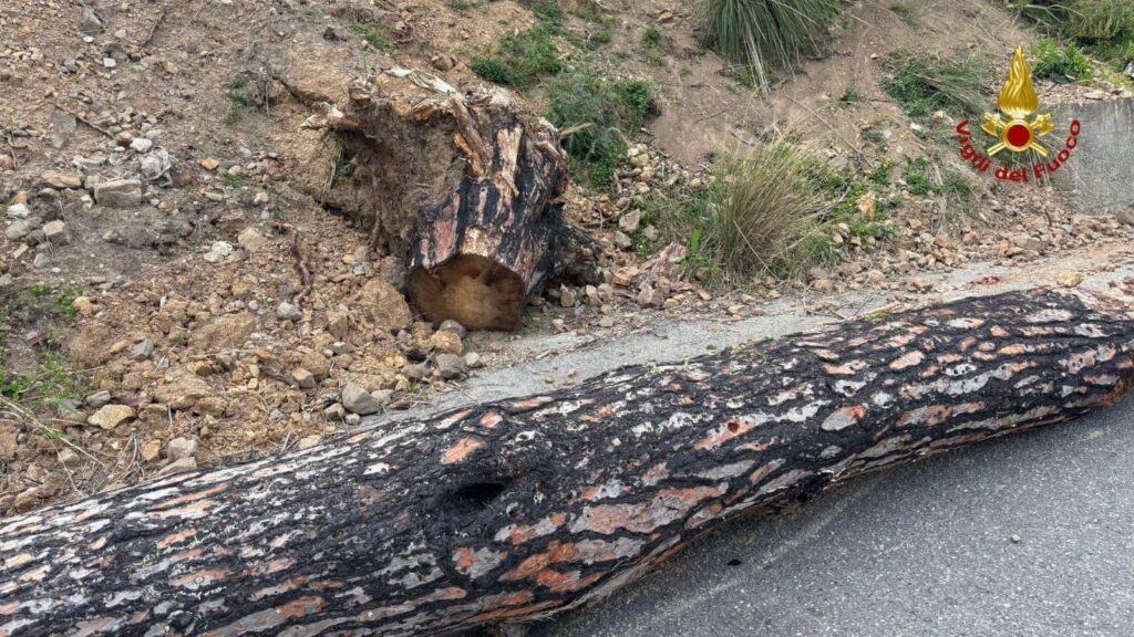 Interventi Vigili Fuoco Messina