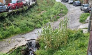 Torrente di Cumia
