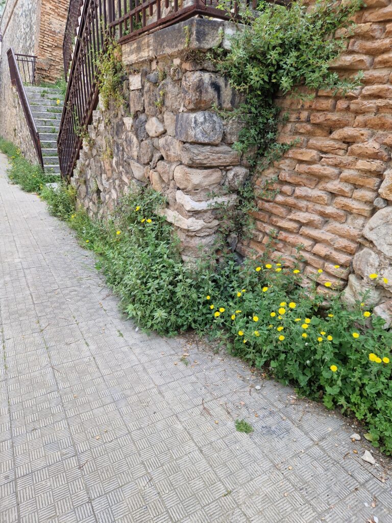 via Vincenzo Sacca' via Fiume e via Trieste