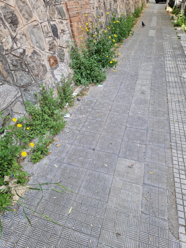 via Vincenzo Sacca' via Fiume e via Trieste