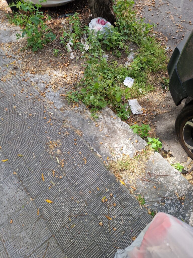 via Vincenzo Sacca' via Fiume e via Trieste