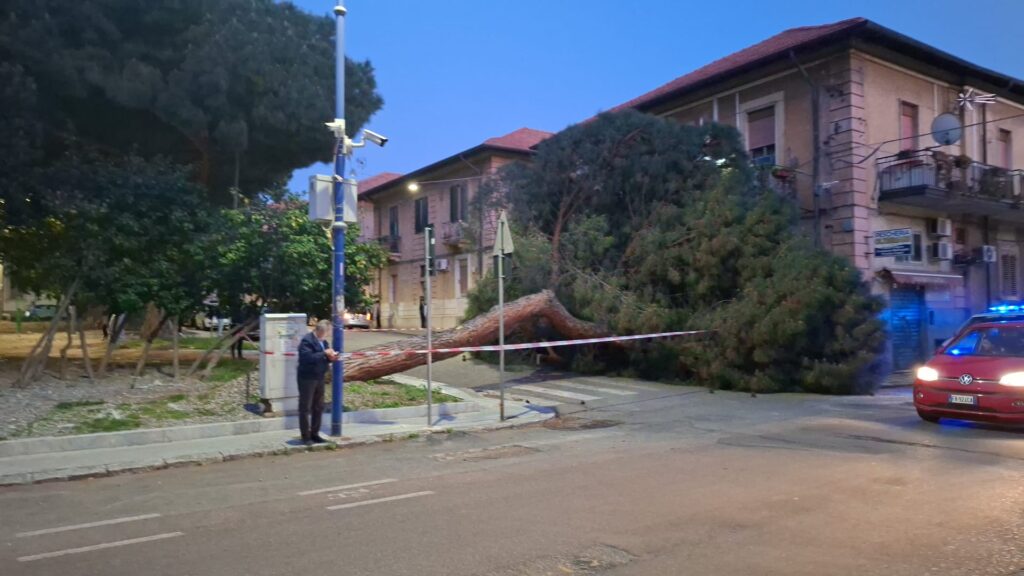 albero caduto santa caterina