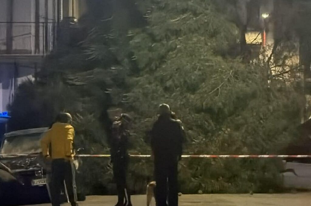 albero caduto santa caterina