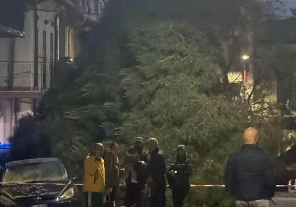 albero caduto santa caterina
