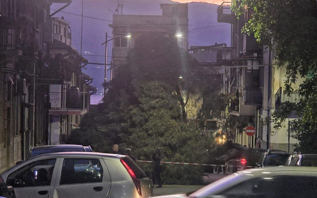 albero caduto santa caterina