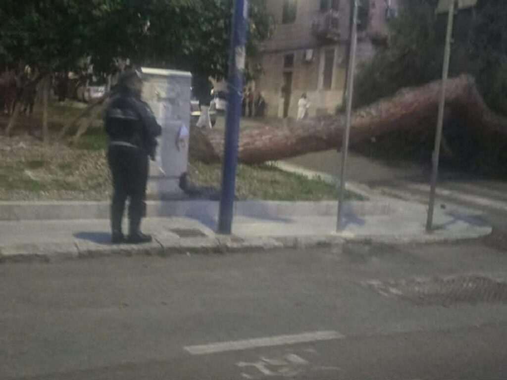 albero caduto santa caterina