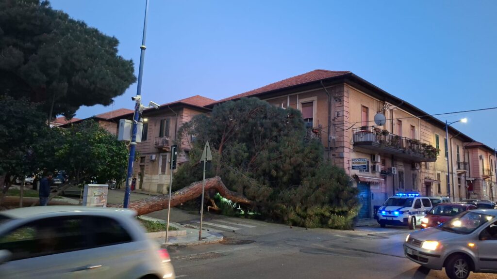 albero caduto santa caterina reggio calabria