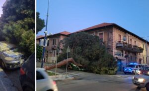 albero crollato a santa caterina