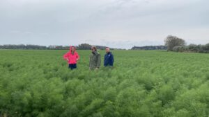 calabria protagonista Linea Verde Illumina – Sport e Salute (1)