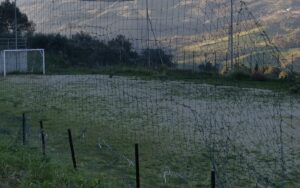 campo siderno