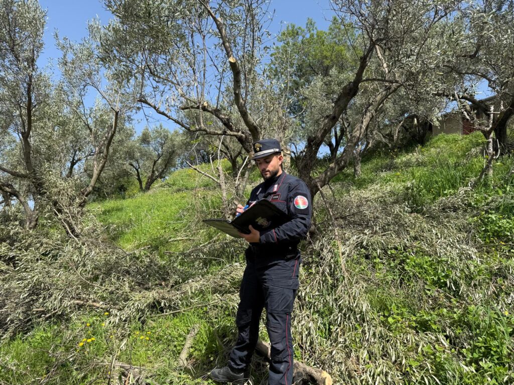 carabinieri forestali