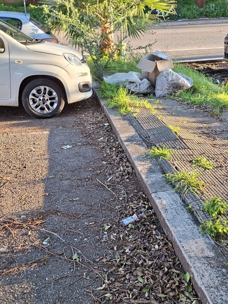 degrado parcheggio cedir (3)