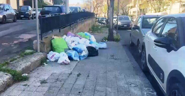 Reggio Calabria, degrado sul Viale Europa: marciapiedi distrutti e invasi da erbacce | VIDEO