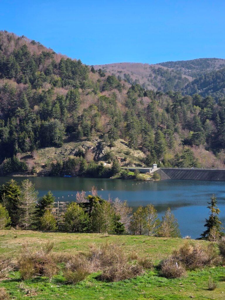 diga del menta 18 aprile 2026