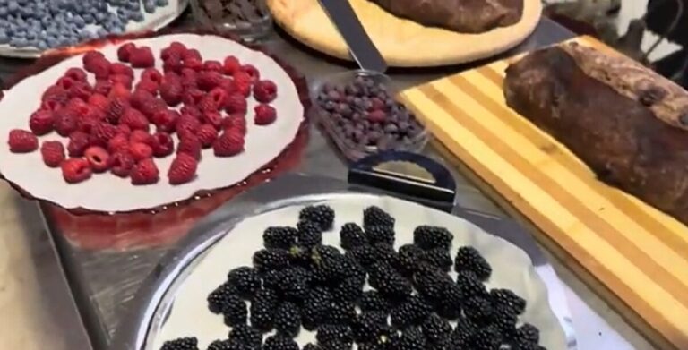 “Dalla natura alla salute: i frutti rossi”, a Reggio Calabria incontro con i nutrizionisti biologi | VIDEO