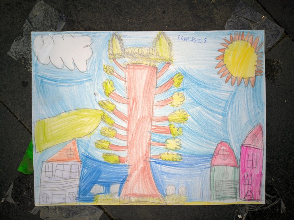 manifestazione italia nostra disegni araucaria a pizzo14