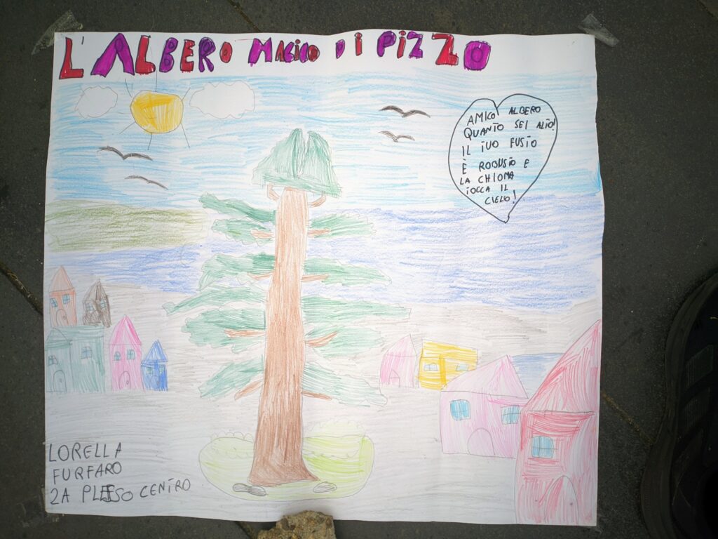 manifestazione italia nostra disegni araucaria a pizzo14