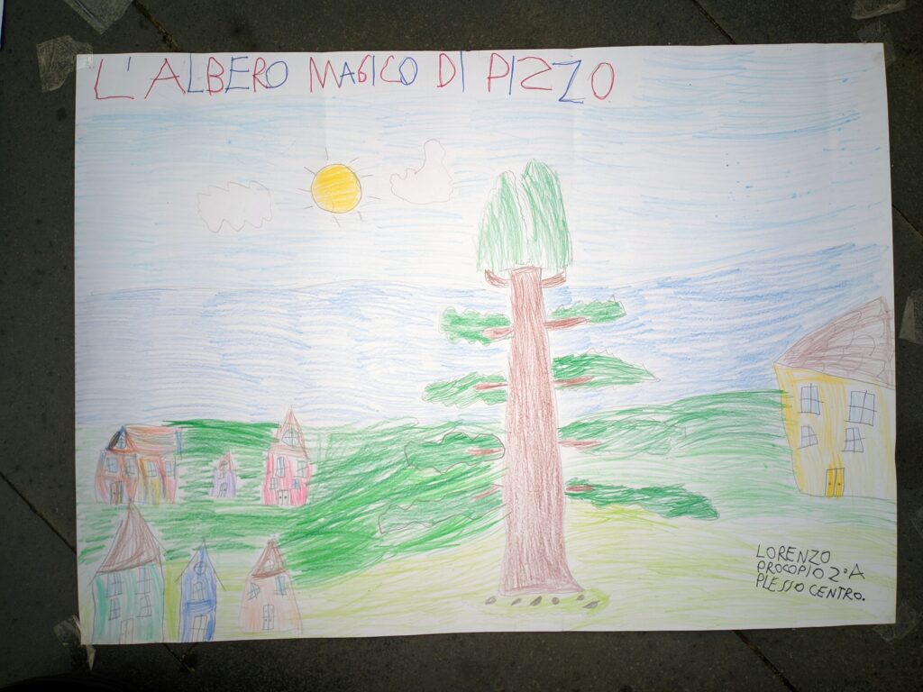 manifestazione italia nostra disegni araucaria a pizzo14