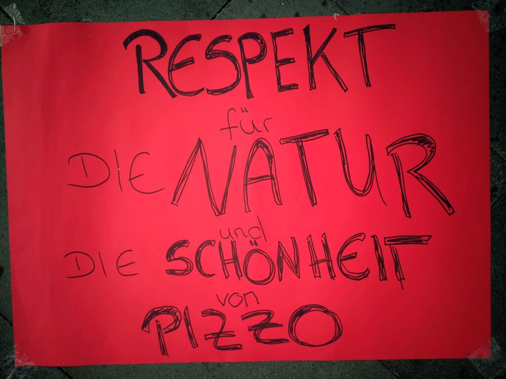 manifestazione italia nostra disegni araucaria a pizzo14