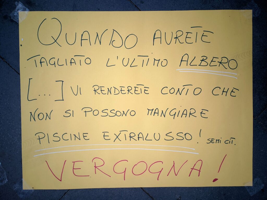 manifestazione italia nostra disegni araucaria a pizzo14