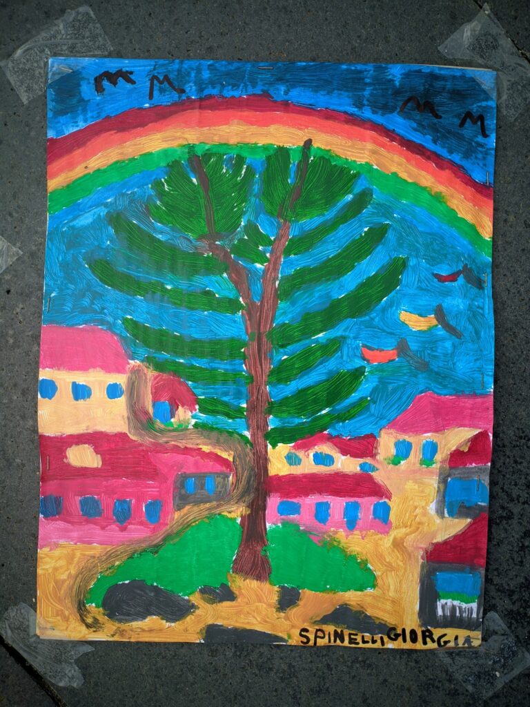 manifestazione italia nostra disegni araucaria a pizzo14