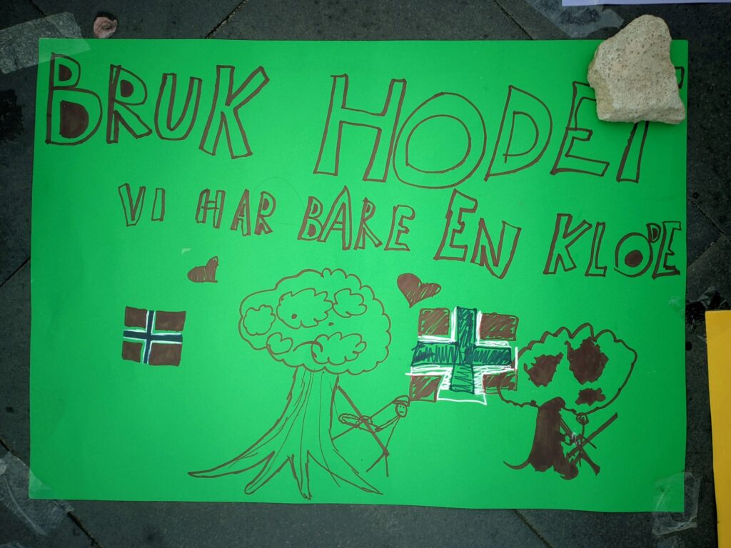 manifestazione italia nostra disegni araucaria a pizzo14