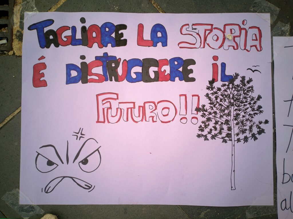 manifestazione italia nostra disegni araucaria a pizzo14