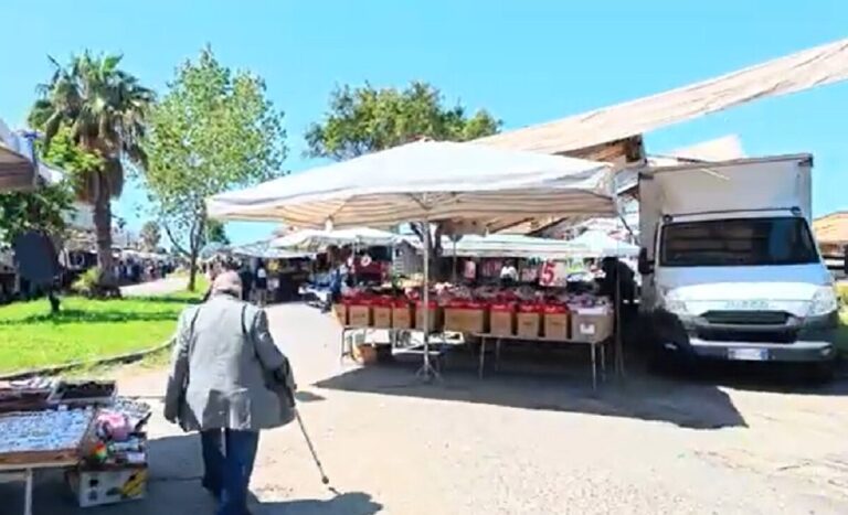 Gioia Tauro: controlli al mercato, sequestri e sanzioni per i commercianti. Scarcella: “rispettare le leggi” | INTERVISTA
