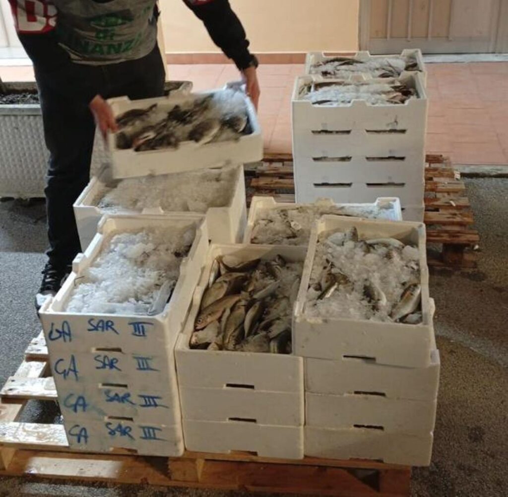 prodotti ittici sequestrati