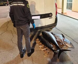 prodotti ittici sequestrati