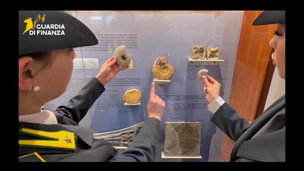 reperti fossili sequestrati