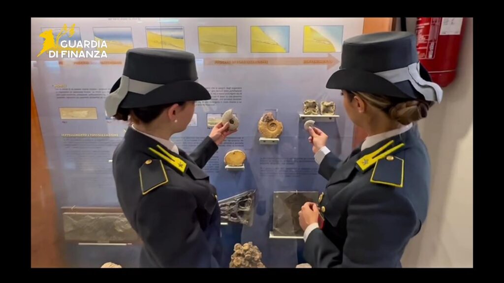 reperti fossili sequestrati
