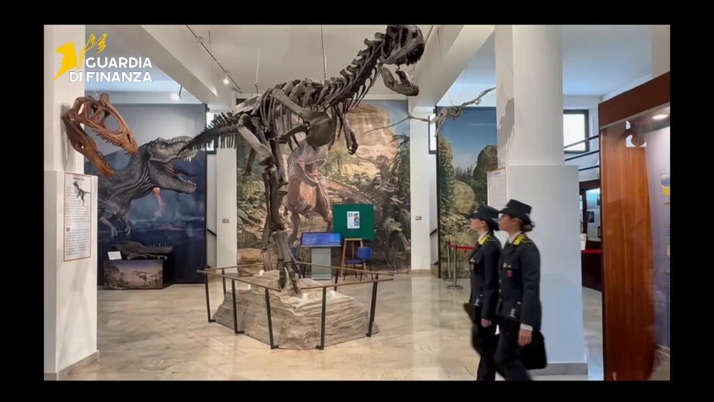 reperti fossili sequestrati