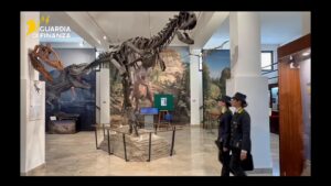 reperti fossili sequestrati