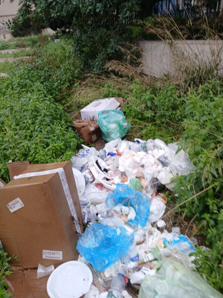 rifiuti reggio calabria