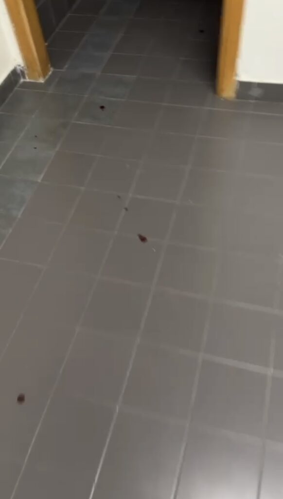 sporcizia e degrado al palacalafiore