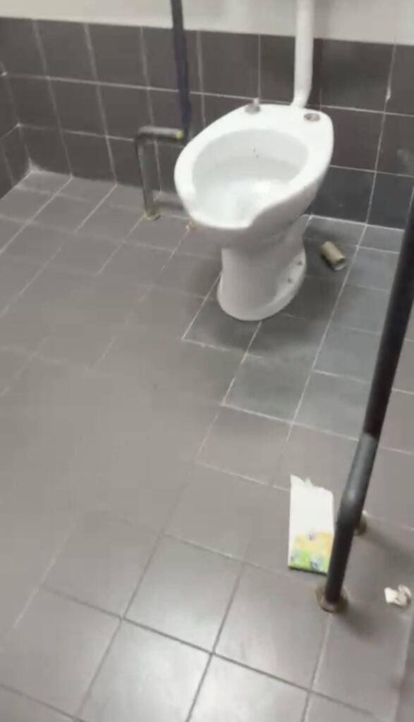 sporcizia e degrado al palacalafiore