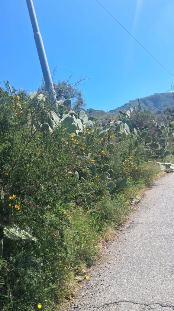 strada Gallina Puzzi
