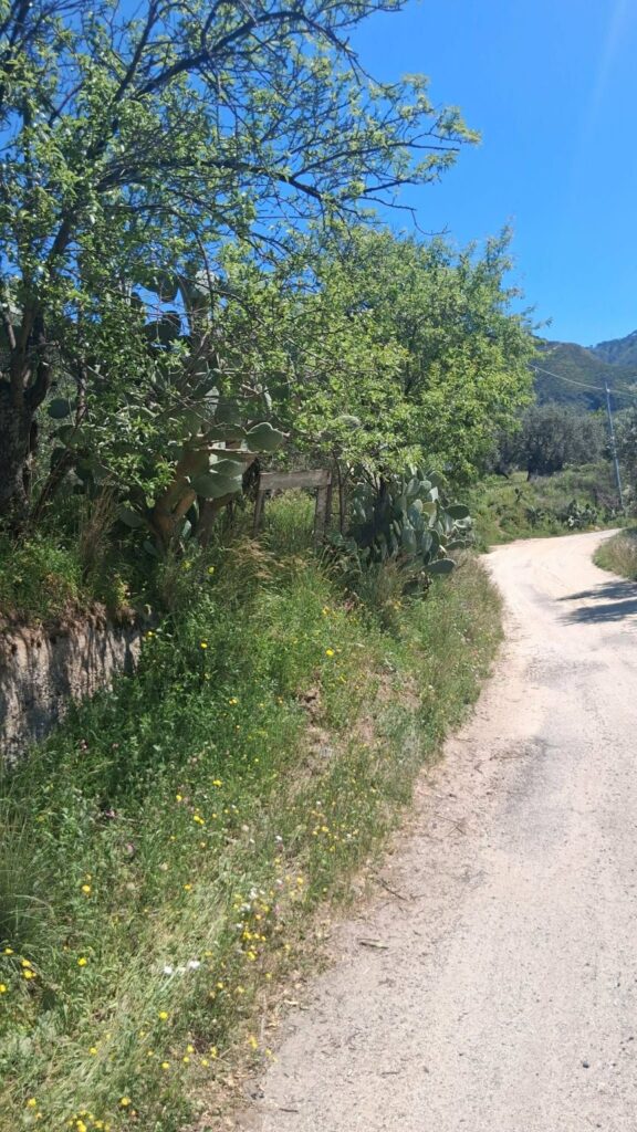 strada Gallina Puzzi