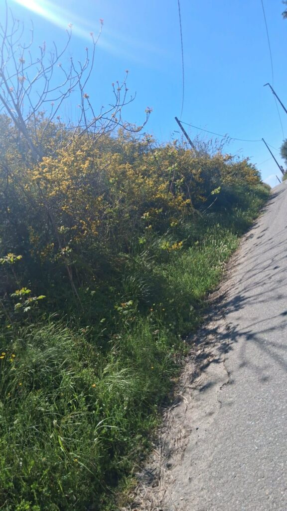 strada Gallina Puzzi
