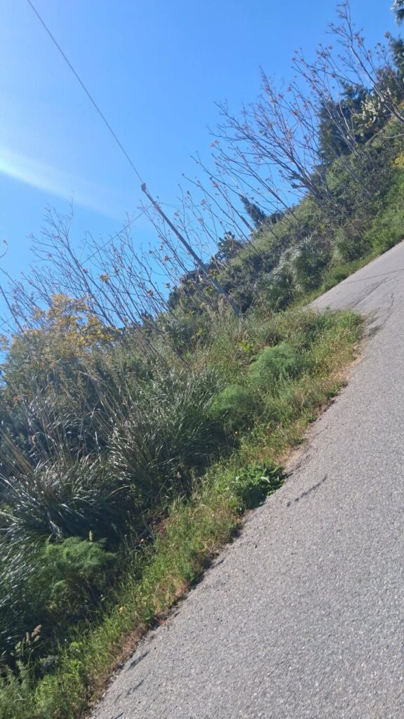 strada Gallina Puzzi