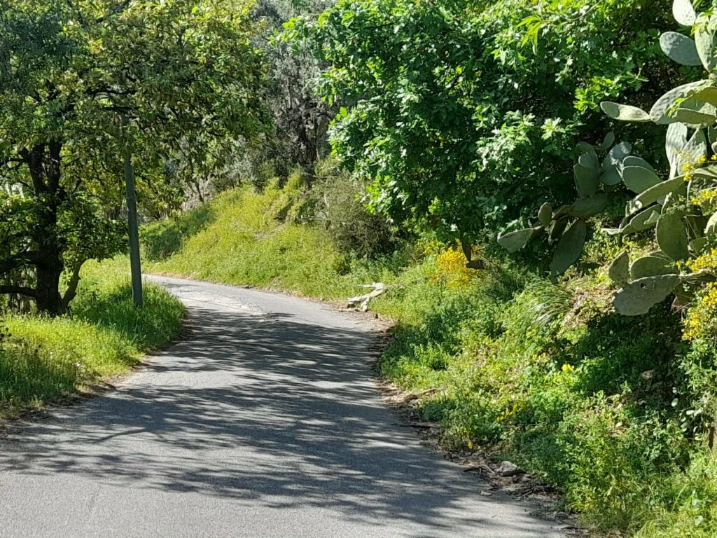 strada Gallina Puzzi