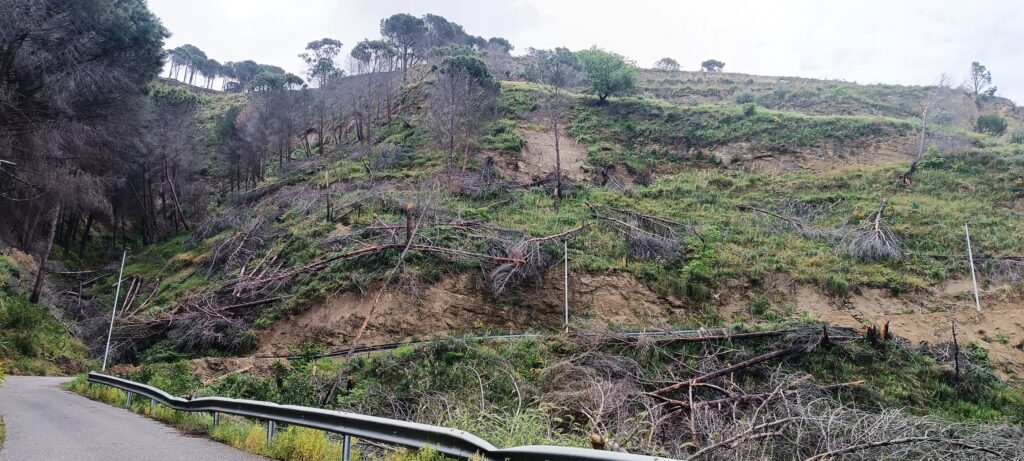 strada armo