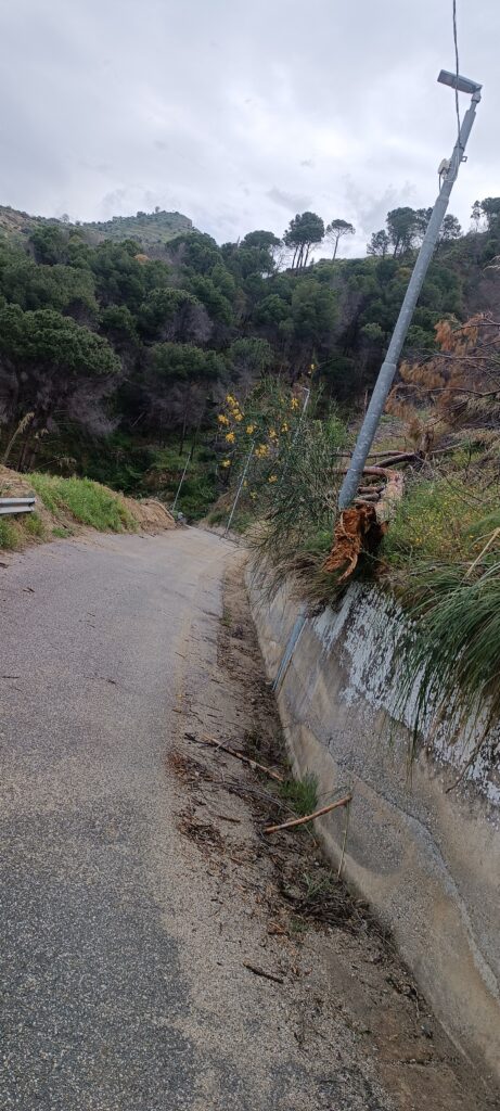 strada armo