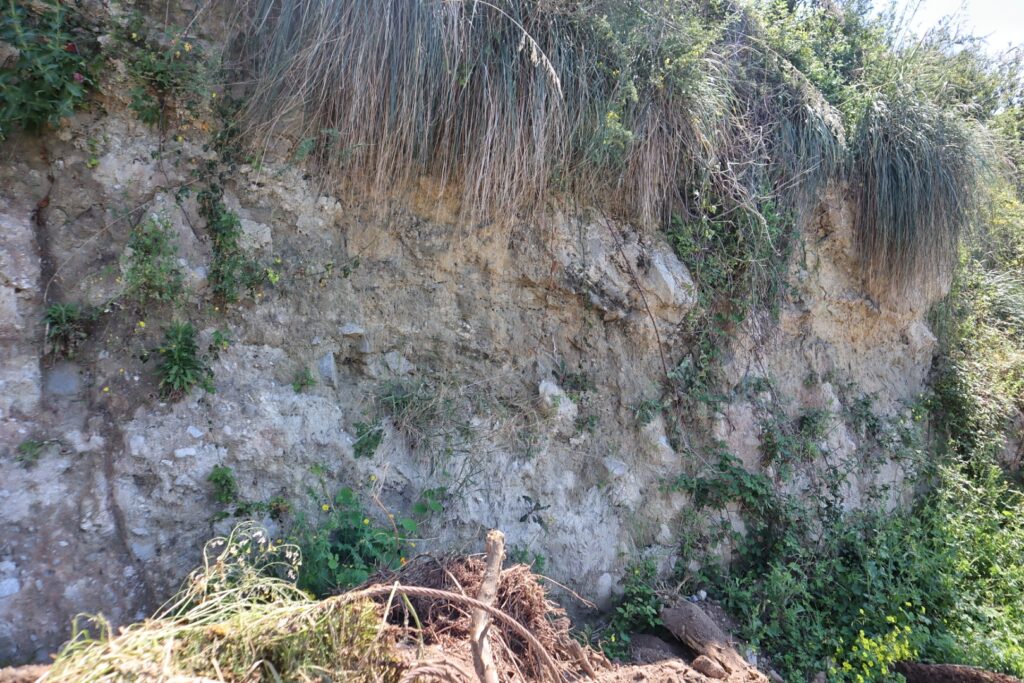 valensise faglia cannitello