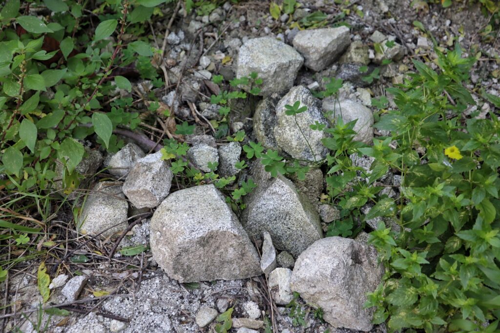 valensise faglia cannitello