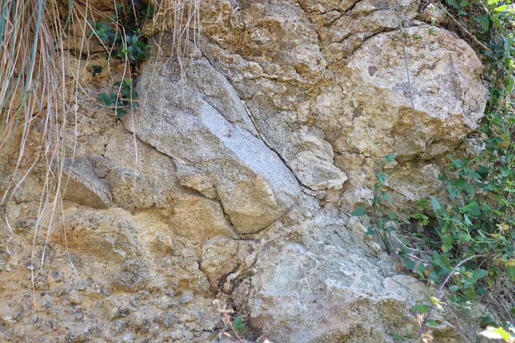 valensise faglia cannitello