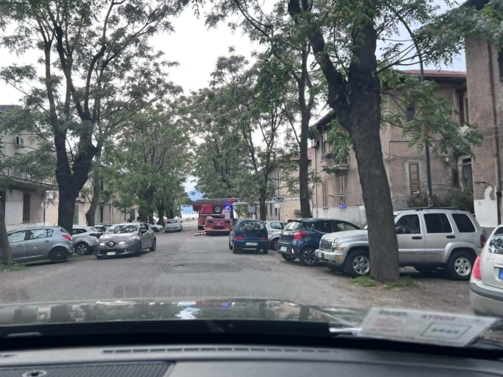 vigili del fuoco intervento api
